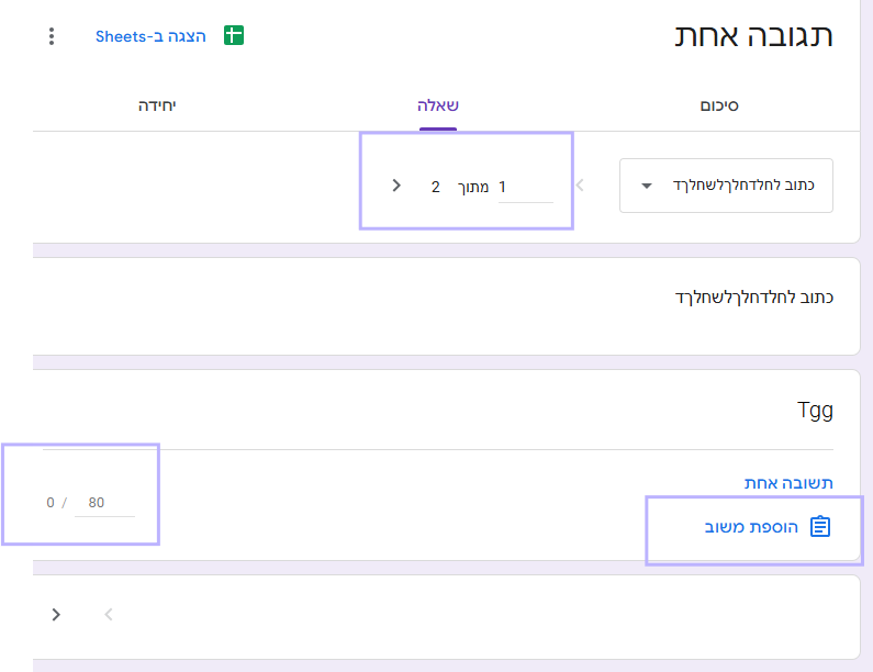 מתן ציון בבדיקה ידנית